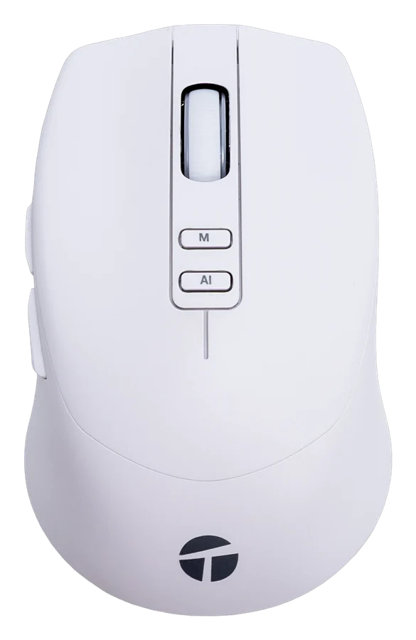 TEROS TE-1250AI